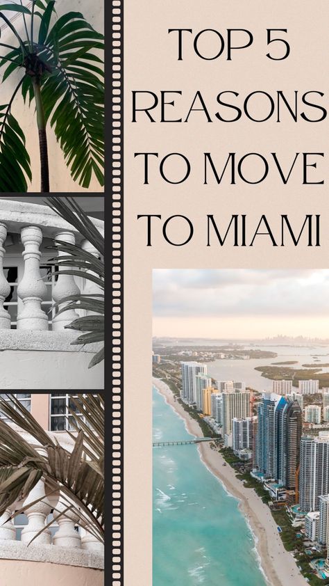 Move To Miami, Moving Essentials, Moving To Miami, Miami Real Estate, Downtown Miami, Time Activities, Sunny Beach, Beach Tops, South American