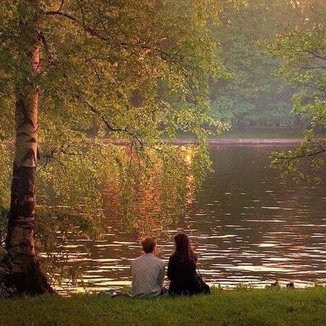 Trees, Water, The Grass, Bridge