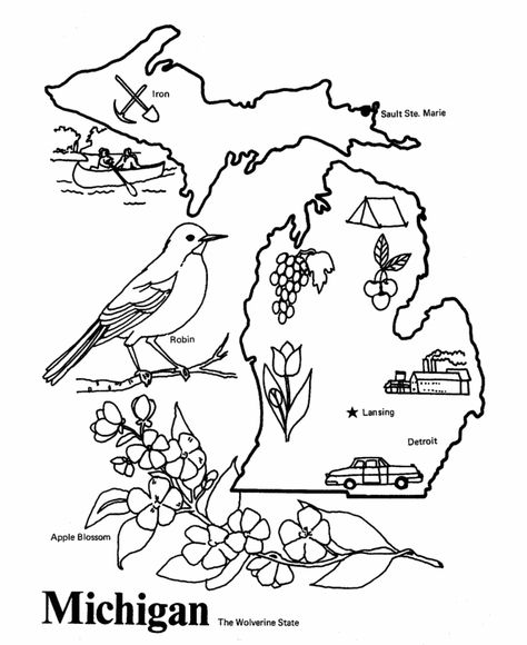 Michigan State outline Coloring Page. Copy the image and paste into Word. Culture Coloring Pages, Independence Missouri, State Symbols, Kid Coloring Page, Homeschool Education, Summer Coloring Pages, Wisconsin State, State Of Oregon, Missouri State