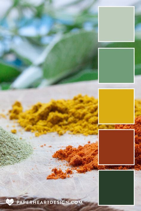 Bright Earth Tone Color Palette, Spicy Color Palette, Bright Earthy Color Palette, Garden Color Palette, Earth Tones Palette, Earth Colour Palette, Mood Tone, Earth Tone Palette, September Colors