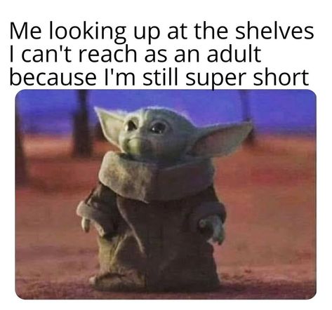 Humour, Costco Memes, Short People Memes, Short People Humor, Short People Jokes, Kids Cough, Yoda Meme, Yoda Funny, Foto Transfer