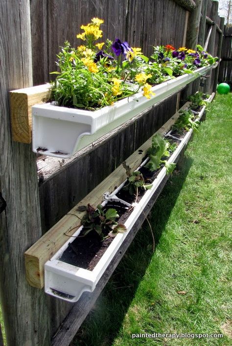 Painted Therapy: DIY Gutter Garden Diy Gutters, Small Flower Gardens, Vertical Vegetable Gardens, Gutter Garden, Garden Frogs, Vertical Vegetable Garden, Small Front Yard Landscaping, Vertical Herb Garden, Small Front Yard