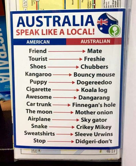 Australia Slang, Australia Fun Facts, Australian Party, Aussie Memes, Australia Party, Australian Slang, Australian Accent, Australian English, Study In Australia