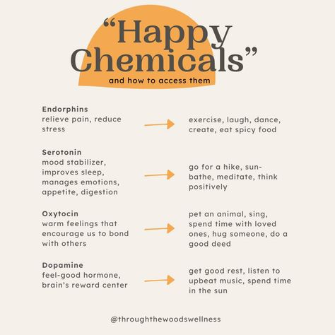 A glance at our happy chemicals and how you can access them. 🤗 #happy #endorphins #seretonin #oxytocin #dopamine #therapy #wellness Happy Chemicals And How To Access Them, Happy Chemicals, Planner Content, Mood Stabilizer, Dopamine Decor, Holistic Health Remedies, Happy Hormones, Hormonal Changes, Managing Emotions