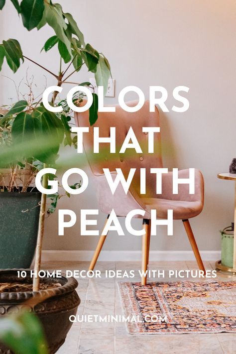 colors that go with peach for home decor Peach Accent Wall Bedroom, Peach Walls Living Room, Peach Room Aesthetic, Peach Bedroom Aesthetic, Peach Wall Color, Peach Colored Rooms, Peach Sofa, Peach Living Room, Peach Colour Combinations