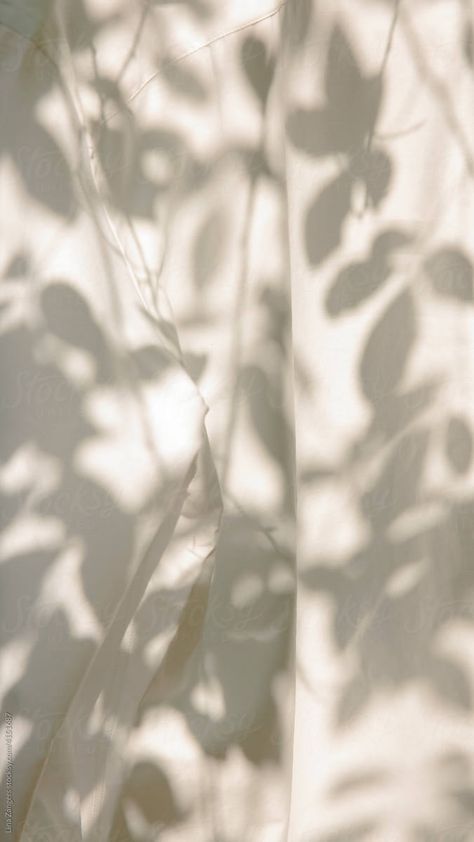 Light Aesthetic Pictures, Flower Shadow Aesthetic, Plant Shadow Aesthetic, White Fabric Aesthetic, Tree Shadow Photography, Shadow Photography Aesthetic, Off White Aesthetic, Light Airy Aesthetic, Light And Airy Aesthetic