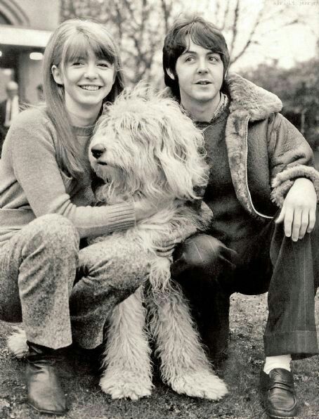 Old English Sheepdog, Paul Mccartney Wife, Martha My Dear, Jane Asher, The Ed Sullivan Show, Sir Paul, Lady Jane, I Still Love Him, English Sheepdog