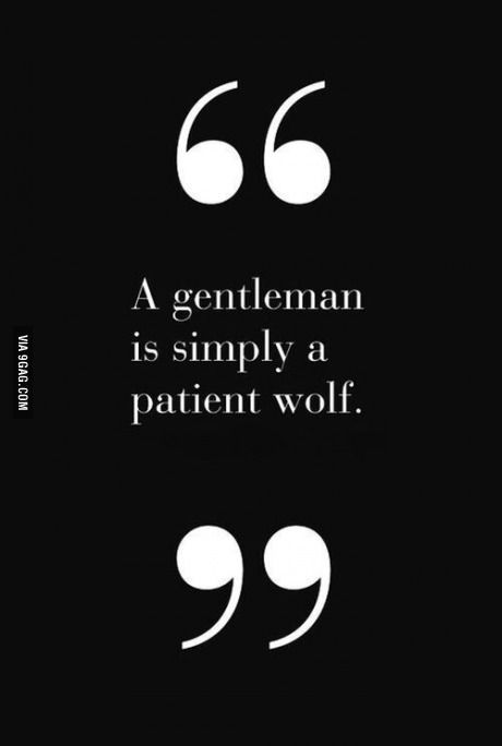 For all those who ladies who love the gentlemen.... Lol i thought about and its true... To a point... Wise Words, Gentlemens Guide, Der Gentleman, Gentleman Quotes, Wolf Quotes, Inspire Me, Favorite Quotes, Quotes To Live By, Just In Case