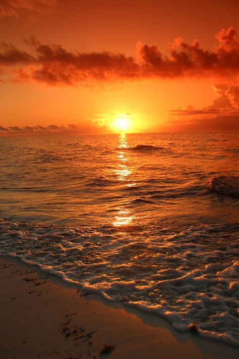 Sunrise | joerdis_burchardt | Flickr Sunset Profile Picture, Sunset Aesthetic Wallpaper, Sunrise Pics, Sunrise On The Beach, Sunrise Background, Nature Sunrise, Sunrise Aesthetic, Sunset Vibes, Sunrise Painting