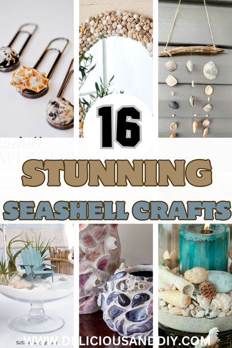 Seashell Craft Ideas Seashell Lights Diy, Seashell Crafts For Boyfriend Gift Ideas, Big Sea Shell Crafts Diy, Repurpose Seashells, Sea Shell Craft Ideas, Sea Shell Display Ideas Diy, Crafts Using Seashells, How To Display Seashells, Small Seashell Crafts