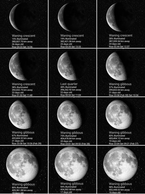 I found this amazing page on instagram called @moon_phases that posts daily phases of the moon! How To Take A Picture Of The Moon, Star Photography Settings, Moon Photography Settings, Beginner Photography Camera, Photographing The Moon, Photography Planner, Manual Photography, Night Time Photography, Photography Hacks