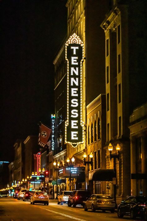 Hawk Photography, Wallpaper Travel, Lone Wanderer, Illinois Chicago, Western Photography, Neon Moon, Vision Board Photos, Nashville Trip, Room Photo