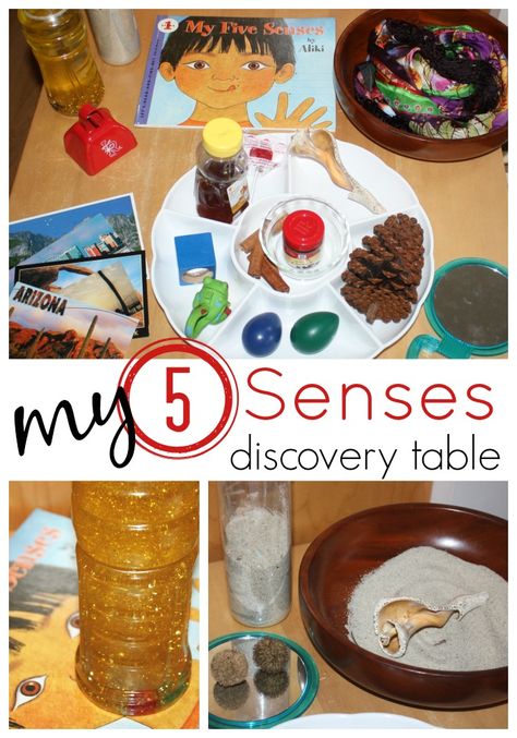 Learning About 5 Senses Activity Discovery Table from Little Bins for Little Hands 5 Sense Sensory Bin, Discovery Centre Preschool, 5 Senses Science Center, Discovery Of The World Learning Centre, Five Senses Books Preschool, Preschool Senses, 5 Senses Activity, Senses Activity, 5 Senses Preschool