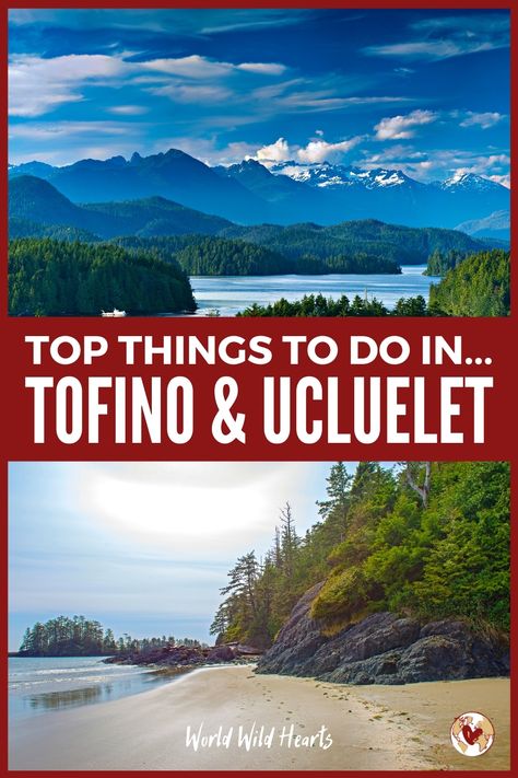 Nature, Texada Island Bc, Things To Do In Ucluelet, Ucluelet British Columbia, Things To Do In Tofino, Tofino Aesthetic, Travel Vancouver Island, Ucluelet Bc, Tofino British Columbia