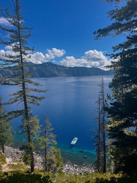 beautiful place to hike in oregon Nature, Summer In Oregon, Beachy Backgrounds, Oregon Scenery, Oregon Lakes, Forest Fall, Crater Lake Oregon, Forest Falls, Oregon Beaches