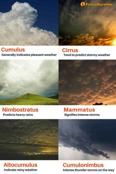 How to read these different cloud formations to help you predict the weather when you can't access a weather forecast. #typesof #clouds #andweather Natural Geographic, Cloud Type, Weather Science, Cloud Formations, Weather Predictions, Matka Natura, Earth And Space Science, Survival Life Hacks, Weather And Climate