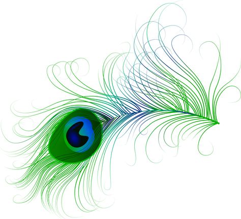 Tumbler Drawings, Feather Clip Art, Tangled Drawing, Peacock Feather Art, Painted Peacock, Feather Drawing, Feather Photography, Krishna Flute, Antique Picture Frames