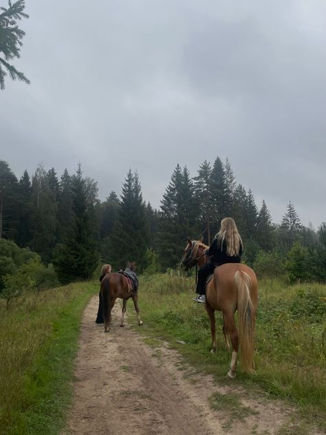 #horseridingstyle #forest #autumn #autumnforest #horses Horse Riding Through Forest, Mountain Horse Riding, Forest Horse Riding, Horses On Farm, Horses At Home, Spirit Riding Free Aesthetic, Horse Asethic Pictures, Dogs In Forest, Horse Riding Forest