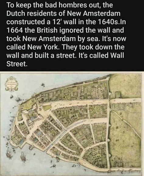 The More You Know False Facts, Coventry University, City By The Sea, History Jokes, New Amsterdam, History Humor, History Memes, Historical Facts, Interesting History