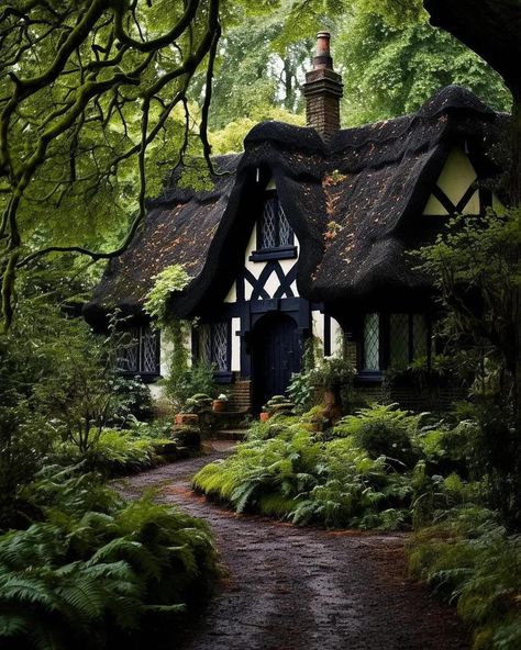 Cottage In Forest Aesthetic, Cottage Core Flooring, Witches Cottage Interior, Forest Cottage Aesthetic, Witches Cabin, Inside Cottage, Dark Cottage Core Aesthetic, Witchy Cottage, Gothic Cottage