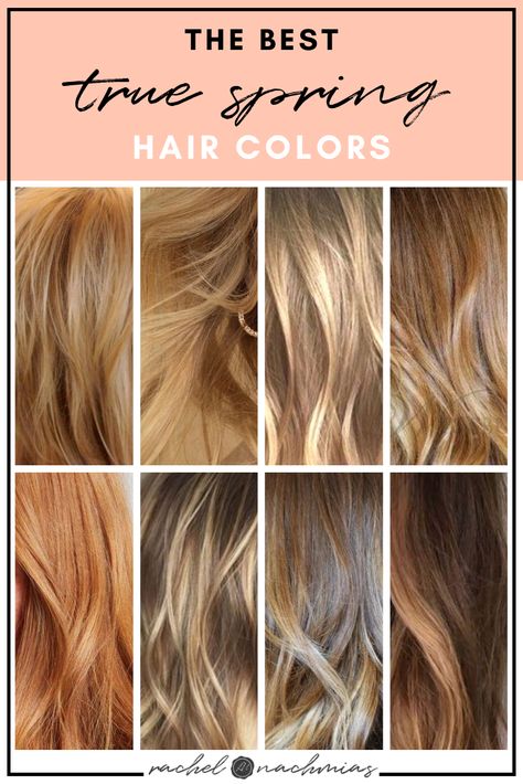 Spring Color Analysis Hair, Best Hair Color For True Spring, Best Hair Colors For Spring Skin Tone, Spring Tone Hair Colors, Spring Color Palette Hair Colors, Summer Color Analysis Hair, Hair Colors For Spring Skin Tones, Hoc Spring Hair Color, Hoc Spring Makeup