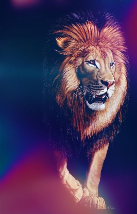 Lion Png Hd Background, Lion Background Editing, Lion Edit, Ambedkar Image Full Hd Wallpaper, Lion Background, Nature Backgrounds Iphone, Christian Background Images, Prophetic Painting, Hd Cover Photos