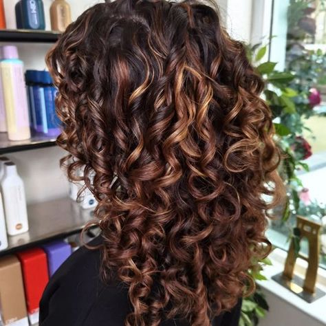 Balayage, Highlight For Dark Brown Curly Hair, Dark Auburn Lowlights, Brown Hair With Blonde And Red, Curly Hair With Copper Highlights, Auburn Curly Hair Highlights, Brown Highlights On Black Curly Hair, Auburn Highlights On Dark Hair, Dark Curly Hair Highlights