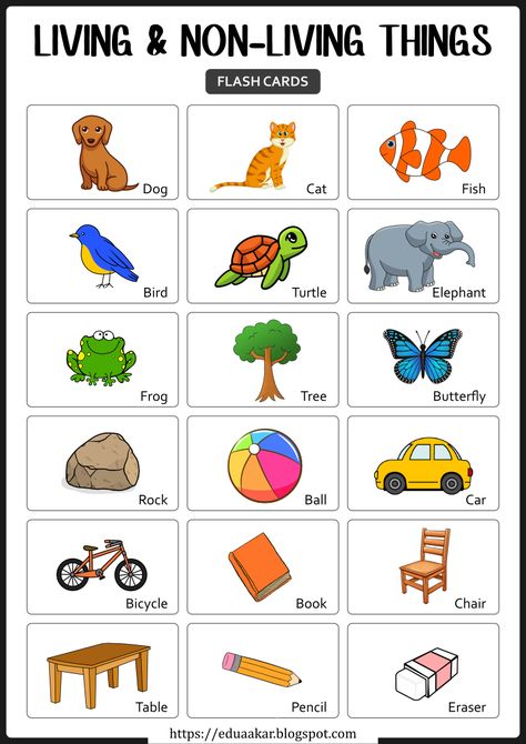 Living And Non Living Things Activity, Living Things Non Living Things Activity, Living And Non Living Things Worksheets For Kindergarten, Living Things Activities Preschool, Non Living Things Images, Living Things And Non Living Things Worksheet For Grade 1, Living And Non Living Things Chart, Living And Nonliving Worksheet, Living Vs Nonliving Kindergarten