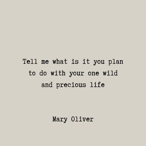 Mary Oliver Quotes Life, Poetry Mary Oliver, Mary Oliver Poems Quotes, Mary Oliver Books, Mary Oliver Aesthetic, Mary Oliver Poetry, Quotes About Nostalgia, Mary Oliver Tattoo, Website Quotes