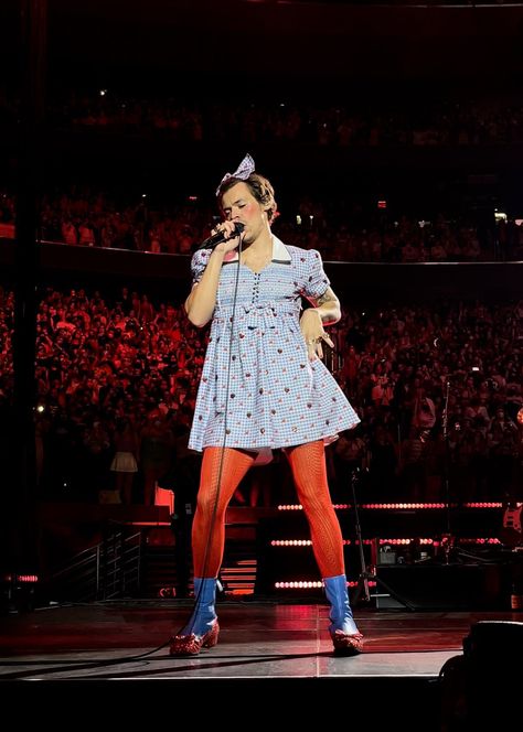 HSD 🕸 on Twitter: "Harry as Dorothy last night at MSG #Harryween - October 30 (via @sunflowerkissyh)… " Harry Styles Costume, Harry Styles Dress, Harry Outfits, Love On Tour Outfits, Harry Styles Outfit, Harry Styles Update, Harry Styles Tour, Harry Styles Photos, Mr Style