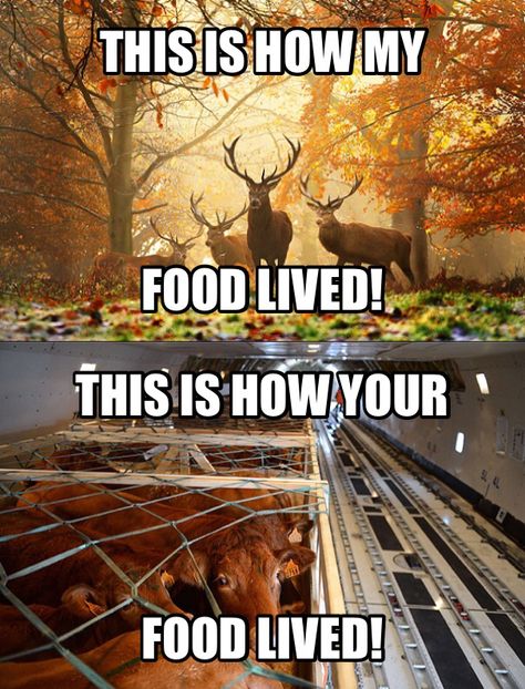 Have a little more respect for your food, seriously! Hunting Quotes, Humour, Funny Hunting Pics, Deer Hunting Humor, Hunting Jokes, Hunting Ideas, Deer Hunting Gear, Deer Hunting Tips, Country Girl Life