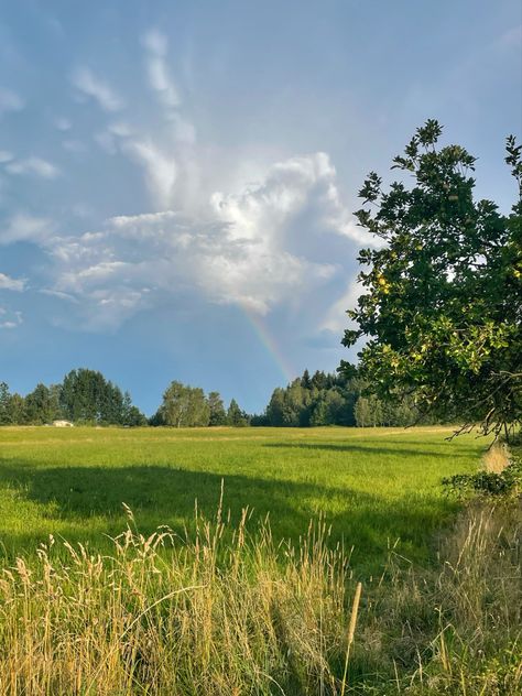 peaceful summer afternoon Sunday Afternoon Aesthetic, Summer Afternoon Aesthetic, Peaceful Summer, Spring Afternoon, Sunny Afternoon, Summer Afternoon, Afternoon Nap, Late Summer, Summer Aesthetic