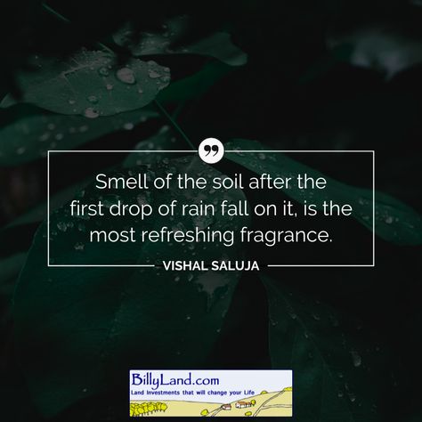 "Smell of the soil after the first drop of rain fall on it, is the most refreshing fragrance." - Vishal Saluja 🌧️ The One, Rain Fall, Vacant Land, The Soil, One Drop, Land For Sale, You Changed, Soil, The First