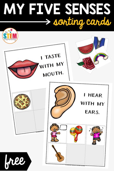 5 Senses Free Printables Preschool, Preschool Five Senses Theme, Five Senses Cards Free Printable, 5 Senses Sorting Activity, 5 Senses Sorting Activity Free, Free 5 Senses Printables, 5 Senses Free Printables, My Five Senses Activities Free Printable, Five Senses Sorting Free Printable