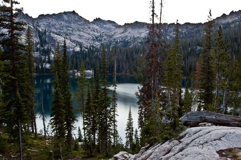 One of Idaho's premier backcountry destinations, this 11.7-mile out-and-back begins with a boat ride across Redfish Lake and ends at the crystalline waters of Alpine Lake. Rio Grande, El Yunque National Forest, Talladega National Forest, Manistee National Forest, Allegheny National Forest, Ozark National Forest, Ocala National Forest, Shawnee National Forest, Chattahoochee National Forest