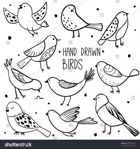 Bird Doodle, Arte Doodle, Bird Sketch, Animal Doodles, 강아지 그림, Doodle Inspiration, Pola Sulam, Journal Doodles, Bird Drawings