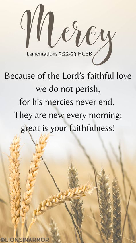 Lamentations 3:22-23 reminds us of God's Grace and Mercy. The Lord is faithful and shows us how much we can trust him each day when the sun rises again. God’s Mercy Is New Every Morning, Merciful God Quotes, His Mercy Is New Every Morning, New Mercies Every Morning, Praise God Quotes Thank You Lord, His Mercies Are New Every Morning, Lamentations 3:22-23, Gods Mercy Quotes, Thankful Scripture Quotes