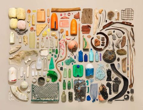 Eclectic Trends | 8 great examples of Knolling Photography - Eclectic Trends Jim Golden, Knolling Photography, Things Organized Neatly, Collections Of Objects, Collections Photography, Creating Artwork, Foto Art, Beach Combing, Photographic Studio