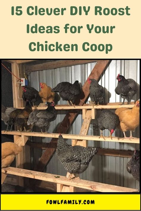 DIY Roost Ideas Cinnamon Queen Chicken, Chicken Roost Ideas, Easy Diy Chicken Coop, Duck Breeds, Chicken Roost, Duck Coop, Cute Chicken Coops, Easy Chicken Coop, Chicken Coup