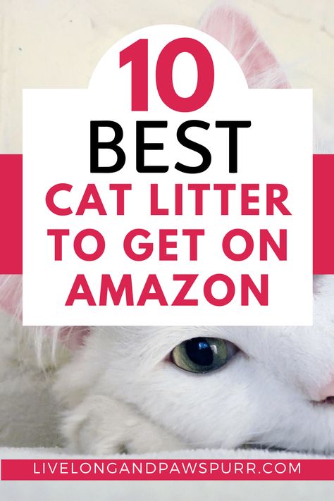 Best Cat Litter To Get On amazon #catproducts #catlitter Best Kitty Litter, Cat Litter Boxes, Best Cat Litter, Tidy Cats, Pet Tips, Pumpkin Dog Treats, Litter Tray, Foster Kittens, Cat Care Tips