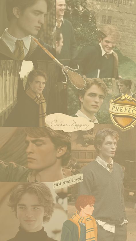 #cedricdiggory #hufflepuff Harry Potter, Wallpapers, Cedric Diggory, Your Aesthetic, Connect With People, Creative Energy, Energy, Pins, Quick Saves