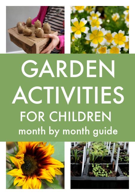 Kids Gardening Activities, Waldorf Garden, Spring Garden Crafts, School Garden Club, Gardening Kids Activities, Garden Classroom, August Garden, Gardening Activities, Kids Gardening