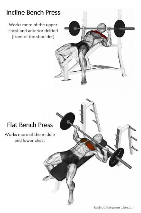 Flat Barbell Bench Press, Dumbell Incline Bench Press, Incline Barbell Bench Press, Inclined Chest Press, Incline Press Workout, Flat Bench Dumbbell Press, How To Do Bench Press, Incline Bench Press Form, Bench Press Variations