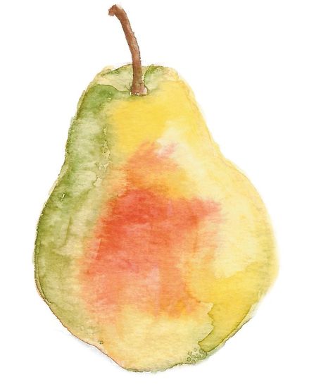 Easy Watercolor Vegetables, Pears Watercolor Painting, Simple Paintings Watercolor, Watercolor Art Unique, Easy Watercolor Fruit, Vegetable Watercolor Paintings, Fruit Watercolor Painting Easy, Watercolor Fruit Tutorial, Easy Diy Watercolor Paintings