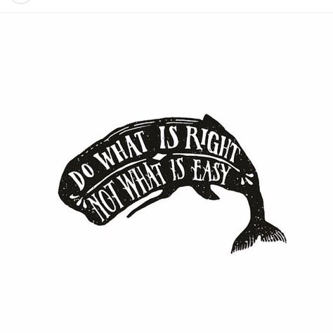 MyHumaneEarth on Instagram: “They deserve a life uninterrupted by humans carelessness. Doing what’s right is just as easy as saying no to plastic !” Wise Words, Do What Is Right, Ravenclaw, The Words, Beautiful Words, Inspirational Words, Cool Words, Words Quotes, A Black