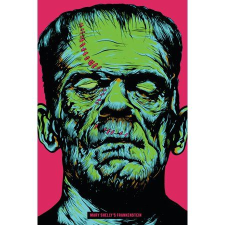 Destroy Everything, The Modern Prometheus, Mary Shelley Frankenstein, Victor Frankenstein, Frankenstein's Monster, Famous Monsters, Horror Posters, Mary Shelley, Horror Books