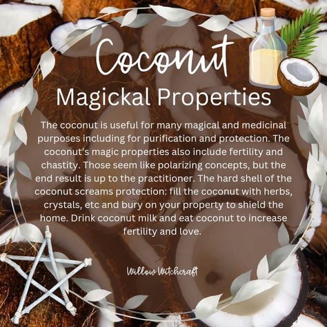 Fruit Magic, Magical Herbs Witchcraft, Kitchen Witch Recipes, Magickal Herbs, Witch Herbs, Medical Herbs, Black Magick, Plant Magic, Writing Fantasy