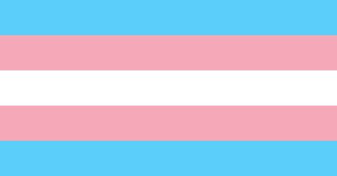 Tips and quotes from transgender men, women and their allies on how to help them gain equality and acceptance. Alluka Zoldyck, Trans Pride Flag, Transgender Man, Trans Boys, Trans Flag, Gay Travel, Lgbtq Flags, Lgbt Flag, Trans Pride