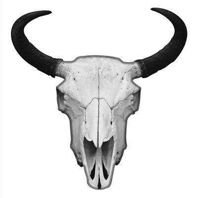 Foundry Select Bison skull wall decor. European mount style image. Take home a piece of American art that will give your walls the feel of the rustic frontier. Comes with attached wall hanging brackets for ease of hanging. | Foundry Select Bison Skull Wall Decor, Metal in Black, Size Small (12" - 24" High) | Wayfair | Home Decor Buffalo Wall Art, White Bison, European Mount, Bison Skull, Skull Wall Decor, Skull Wall Art, Longhorn Cow, Buffalo Skull, Steer Skull