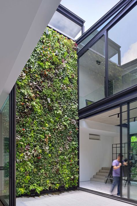 Incredible two storey green wall! This oversized vertical garden shows how it's done! Foto Scale, Rumah Moden, Vertical Garden Design, Internal Courtyard, Green Architecture, Patio Interior, Hus Inspiration, Wall Garden, Design Exterior